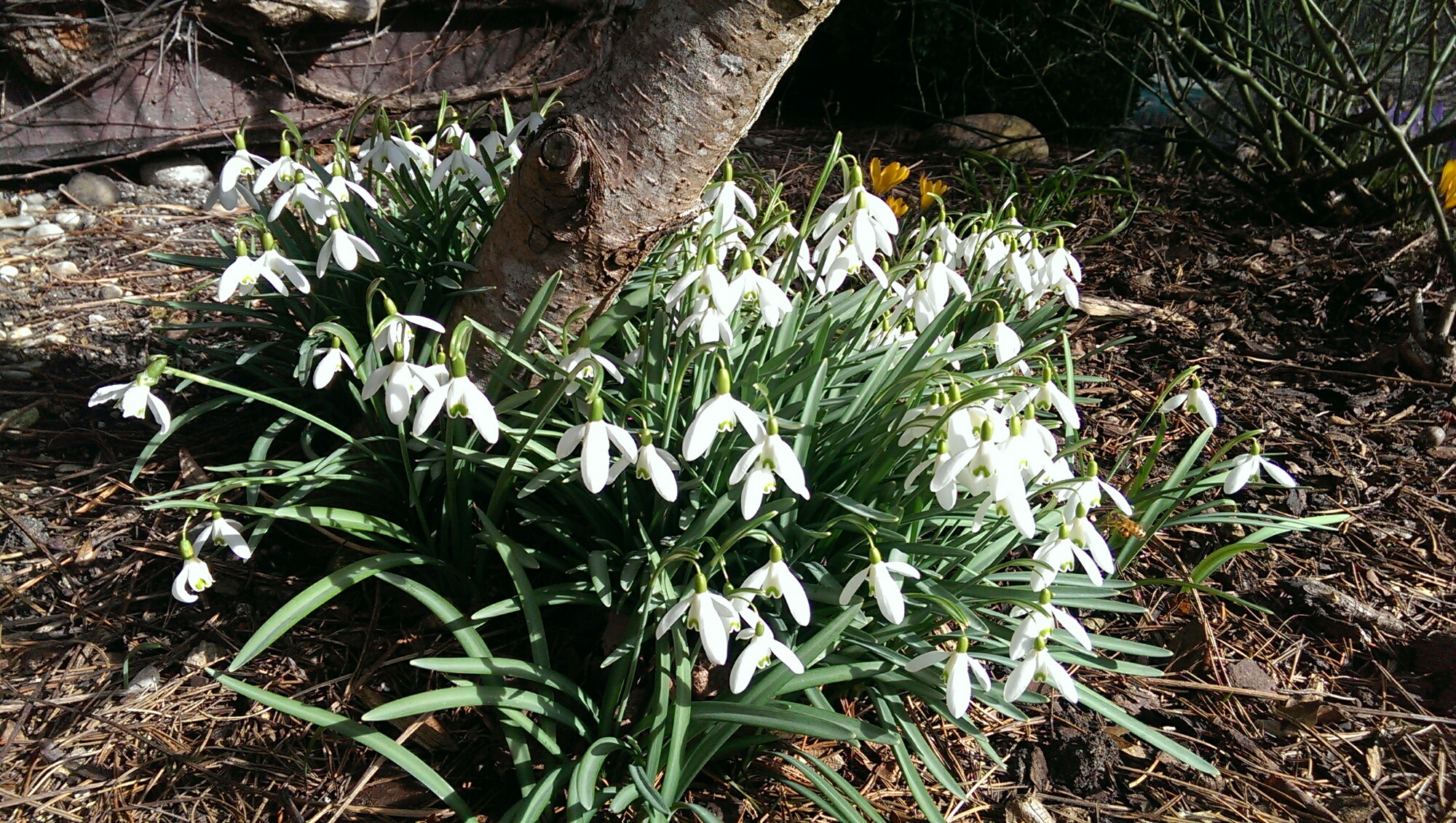 Frühling... Endlich!
